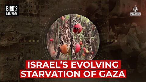 Israel’s evolving starvation of Gaza | Bird's Eye View