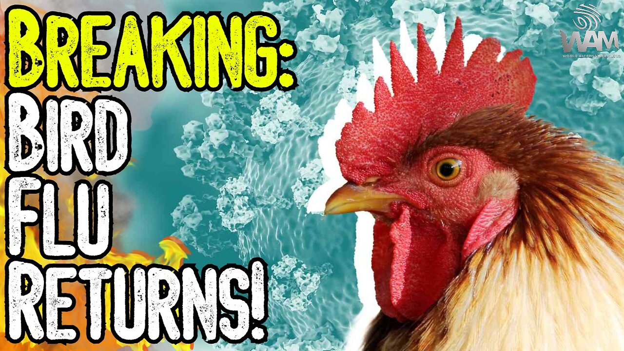 BREAKING: BIRD FLU RETURNS! - New Mandates As Propagandists Push New Plandemic