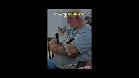 cats love its owner 💀