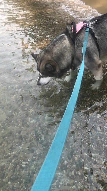 Sunday August 3, If you give, you will receive.