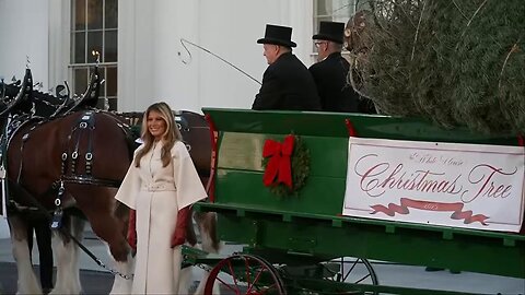 First Lady Melania Trump Receives 2025 White House Christmas Tree - November 24, 2025