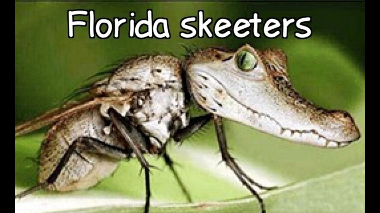 Alligator Alcatraz Detainee Says The Place Is Freezing…Mosquitoes Are The Size Of Elephants… OH, NO!