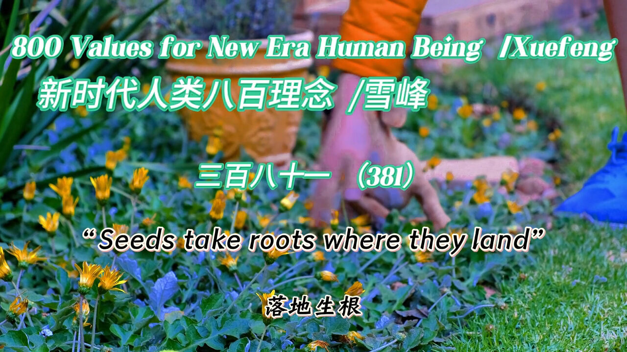 800 Values for New Era Human Being(381)