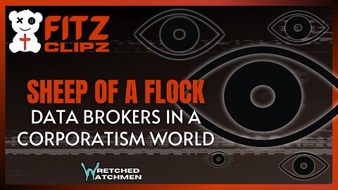 Sheep Of A Flock: Data Brokers In A Corporatism World