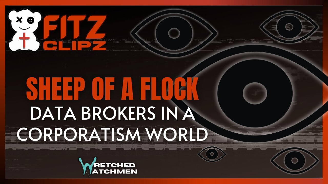 Sheep Of A Flock: Data Brokers In A Corporatism World