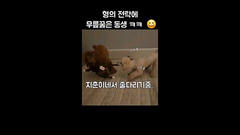 유라티,황지춘