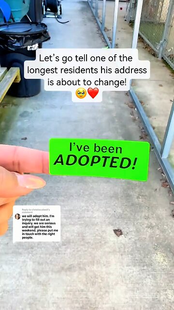 Love All Life Always #476 - Adopt A Pet, Save A Life...And Create Pure Love ❤️