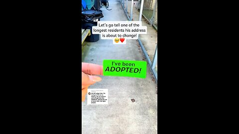 Love All Life Always #476 - Adopt A Pet, Save A Life...And Create Pure Love ❤️