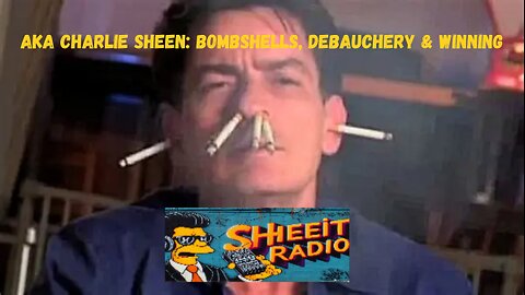 aka Charlie Sheen: Bombshells, Debauchery & Winning