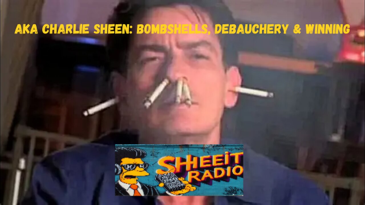 aka Charlie Sheen: Bombshells, Debauchery & Winning