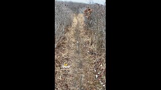 WALKING INTO THE NEW YEAR!