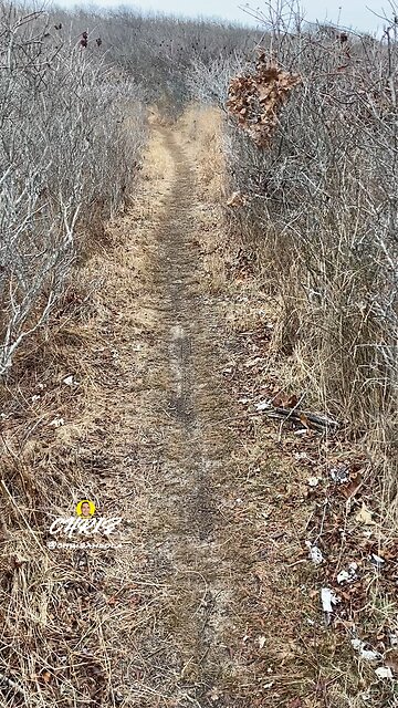 WALKING INTO THE NEW YEAR!