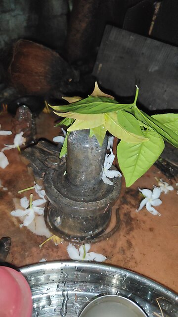 shiv puja 🥰🥰🥰