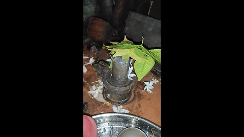 shiv puja 🥰🥰🥰