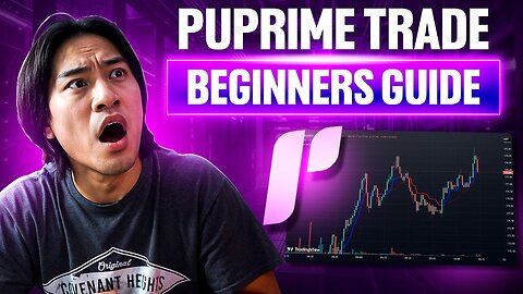 How To Trade Forex For Beginners with PU Prime Insights! 