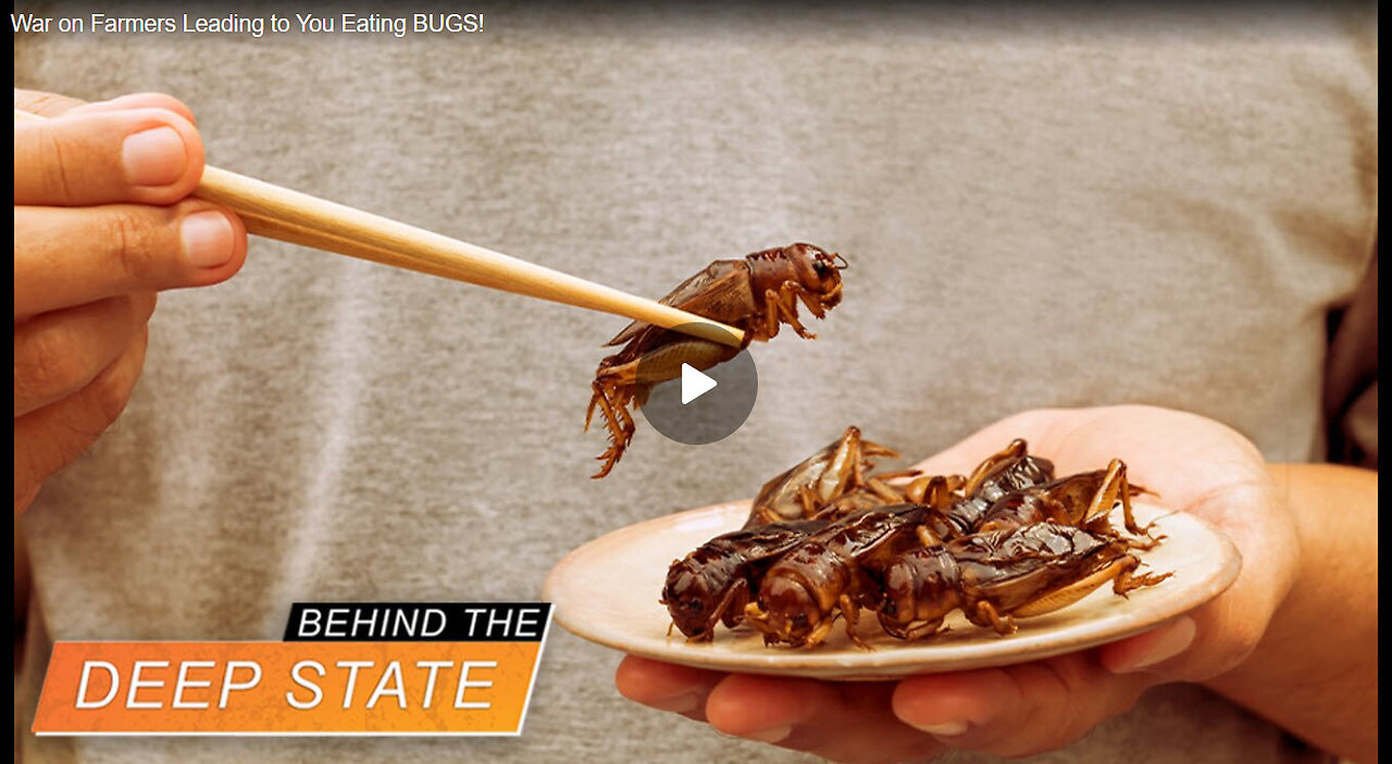 WAR ON FARMERS LEADING YOU TO EAT BUGS!