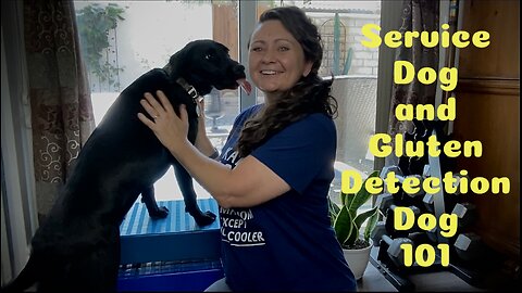 Gluten Detection Service Dog 101