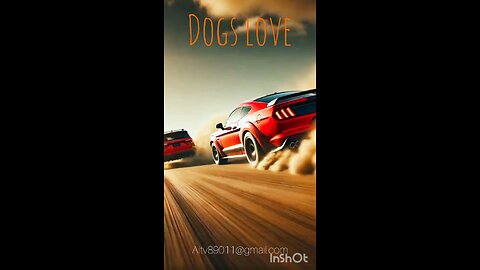 dogs love###short