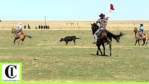 Pasture Team Roping - 2024 Tom Horn Days Cowboy Rendezvous | Saturday