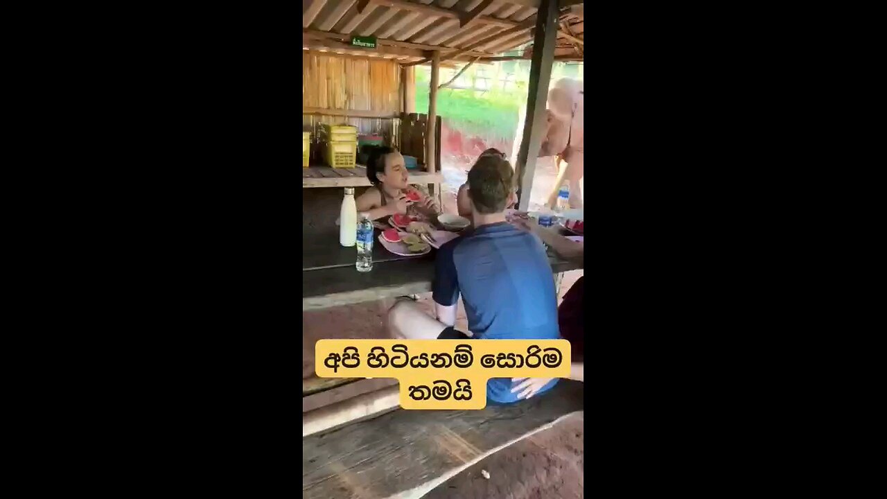 wild elephant atak in restaurant