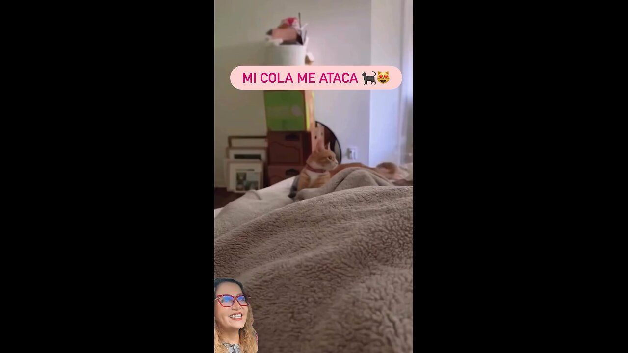 tienes que verlo 😅