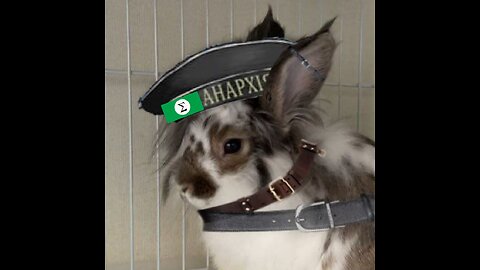 Autistic Militia vs @krolikartworx.bsky.social‬