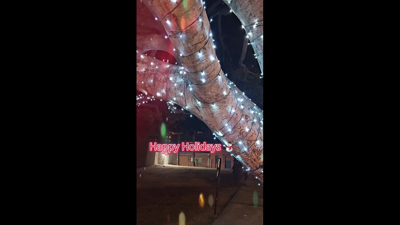 Happy Holidays ⛄⛄