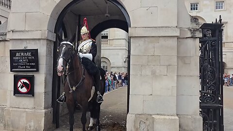 King's guard