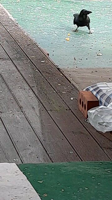 20251030. Father Almighty.