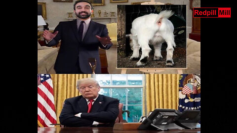 The Men Who Glare at Goats