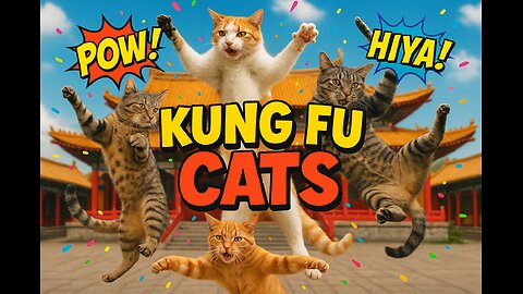 Kung fu cats🐱🤣