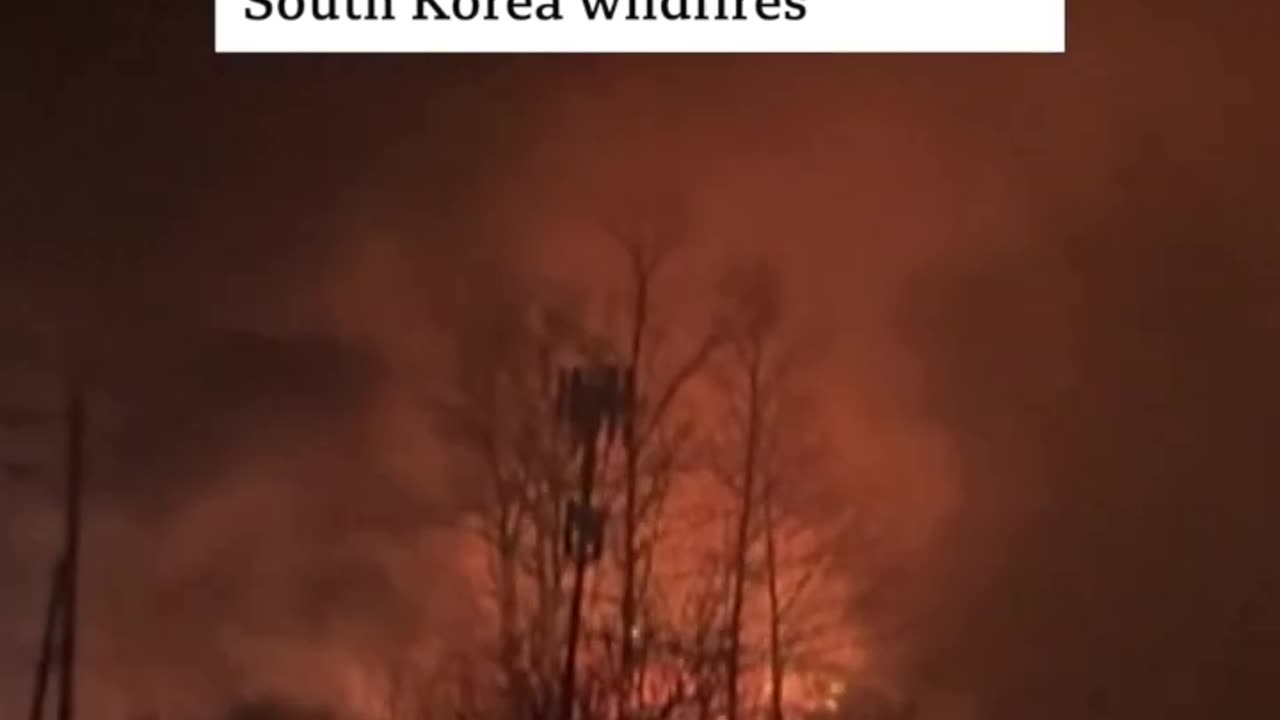 🔥 South Korea Wildfires Leave 24 Dead & Thousands Displaced | Crisis Escalates