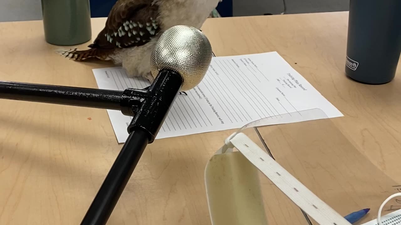 Wanna Know What Zookeepers Do on Their Lunch Break?