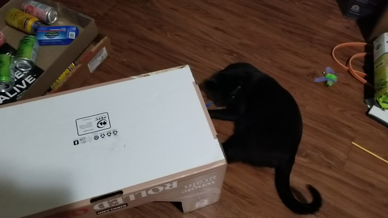 20250618 214606 Tux Baskie Chase Play