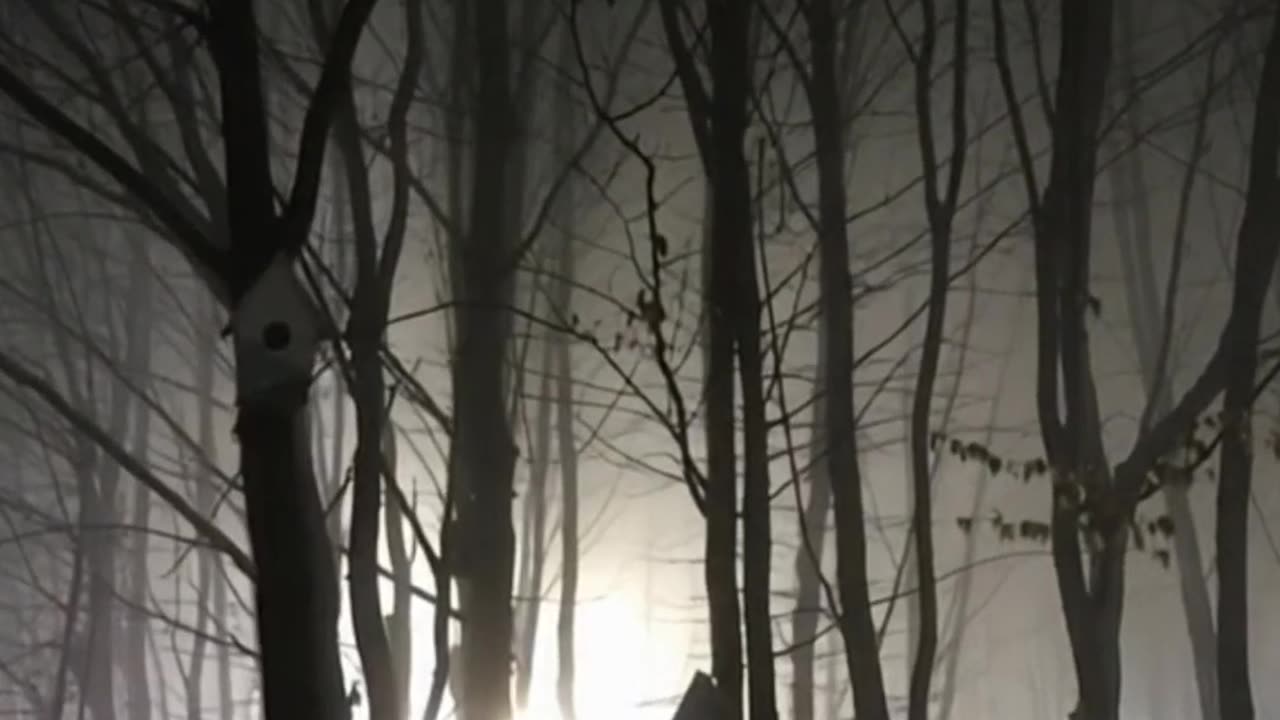 Unravelling the mystery of the Bell Witch Haunting!