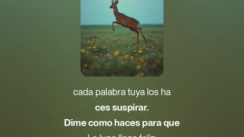 Dime Como
