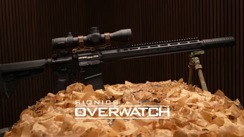 The SIONICS Overwatch Rifle: More Than Just Another AR15