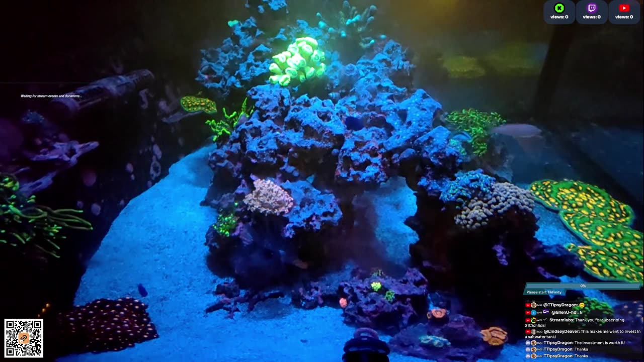 24/7 Real Live Reef Stream