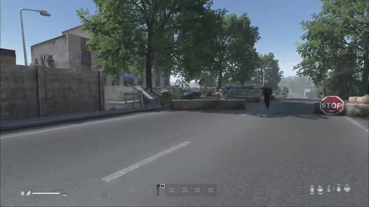 DayZ: actually meeting friendly people