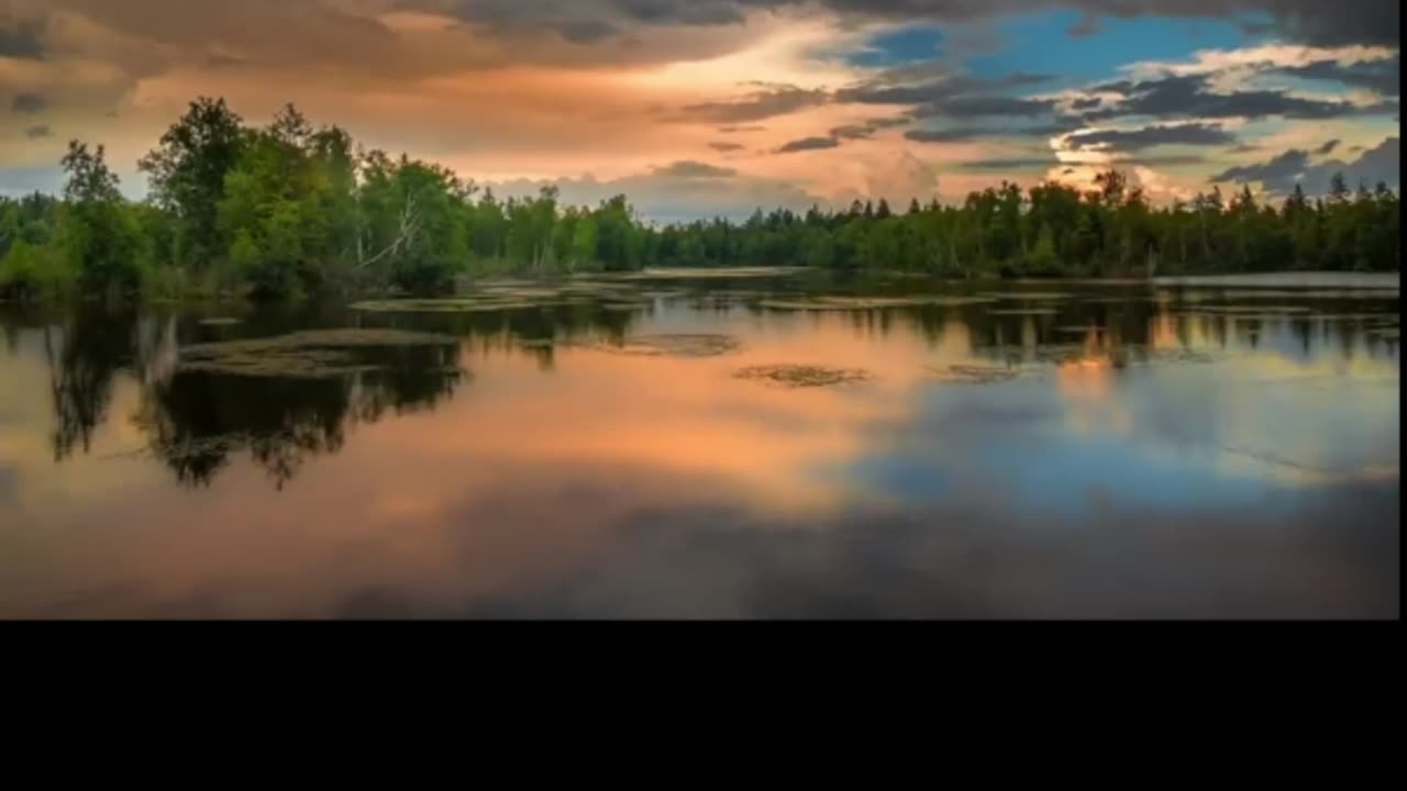 Relaxing Music - Sound of Running Water_ Birds. Relax_ Calm Down