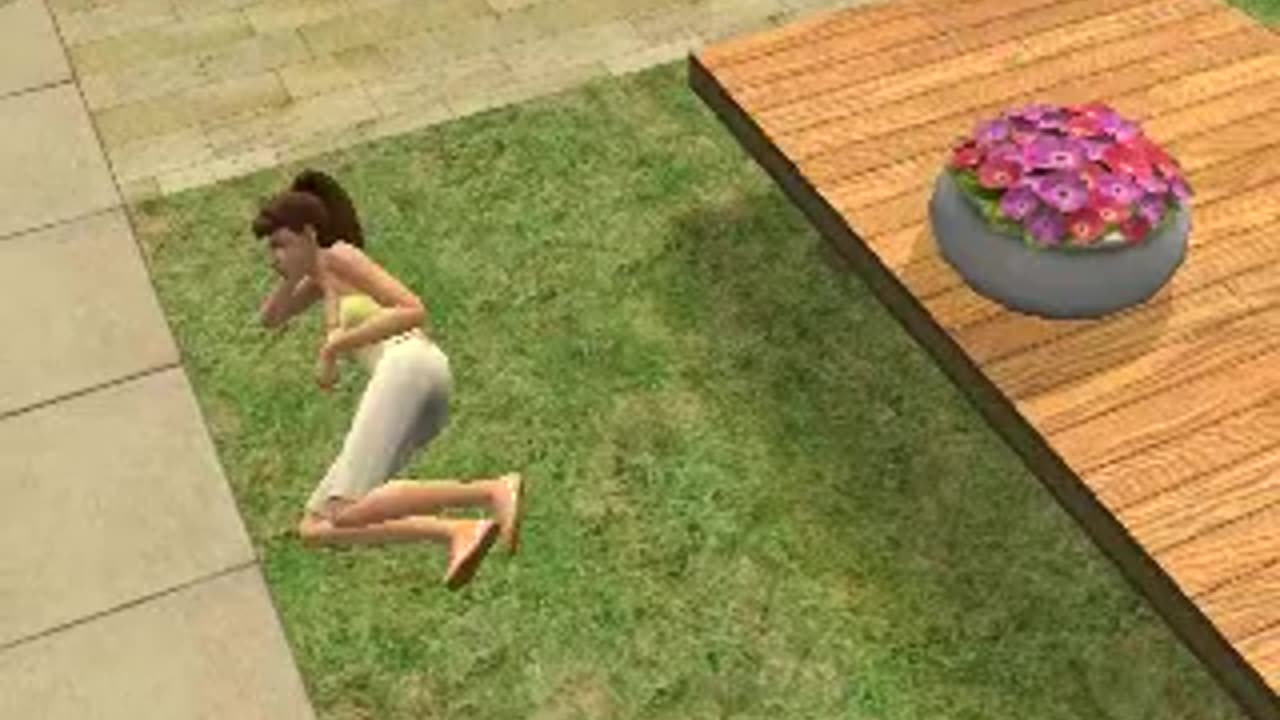 2009 12 11 - Grape Lady Falls _ Sims 2 Style _ Joe Winko