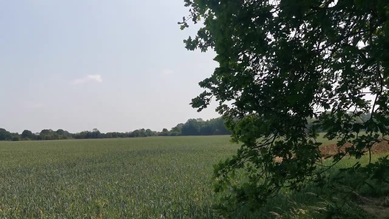 Sometimes Innocent Men Have To RUN FLY GO DISAPPEAR