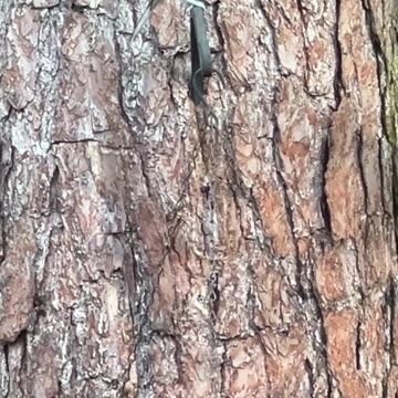 Couple of friends enjoying our snacks