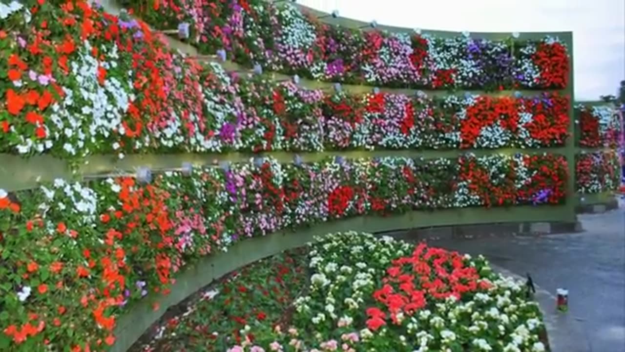 Growing A Vertical Garden? Here Are 8 Hacks To Turn Heads!