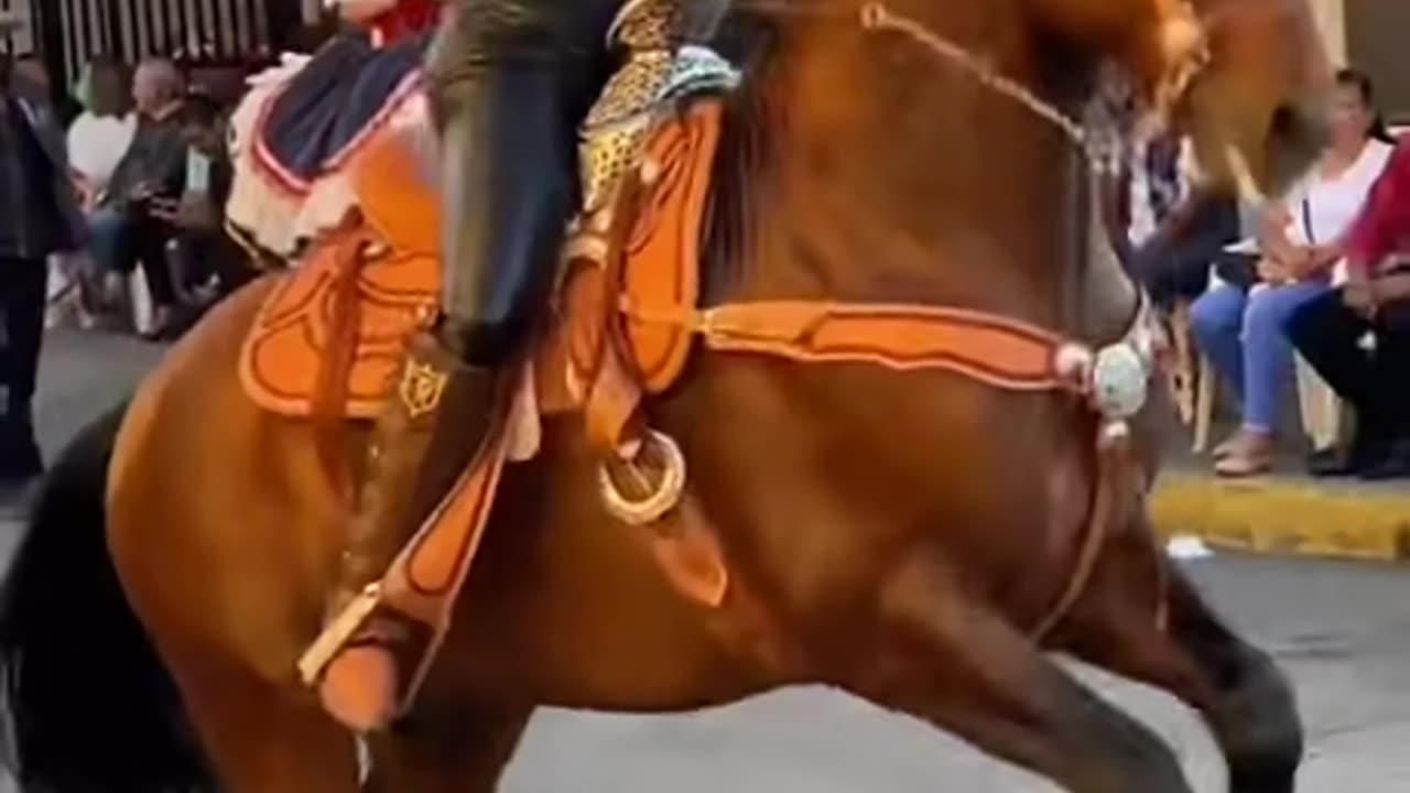 𝑻𝒉𝒆 𝑼𝒏𝒅𝒆𝒓𝒔𝒕𝒂𝒏𝒅𝒊𝒏𝒈 𝑯𝒐𝒓𝒔𝒆