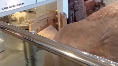 ID Museum - Idaho Falls