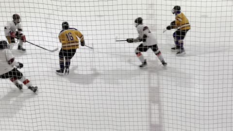 Raiders v Lions Jan 12