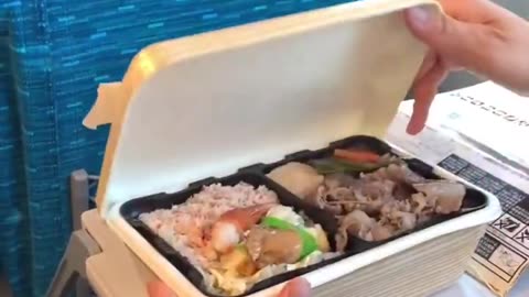 Japan living in 2050