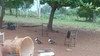 Random sh!t