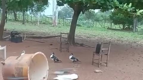 Random sh!t